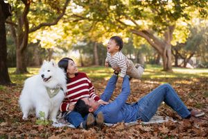 A couple and their fluffy white dog play together in autumn leaves during a golden sunset in the park.