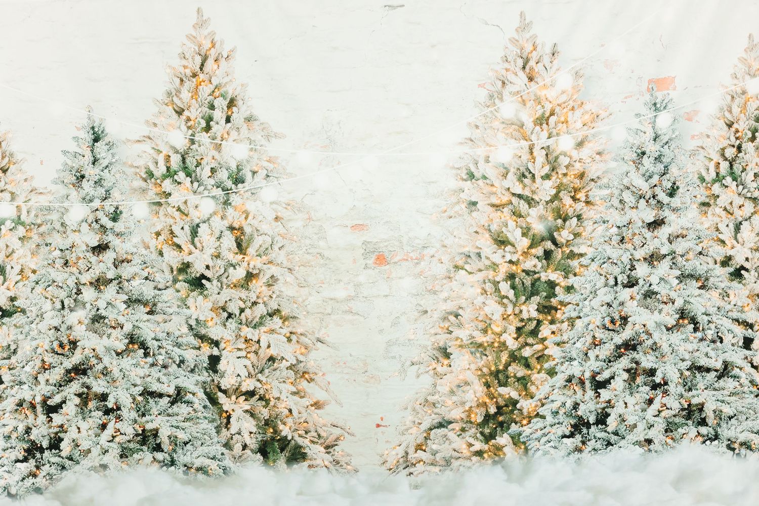 Snow-covered evergreen trees decorated with warm glowing lights create a magical winter forest scene.