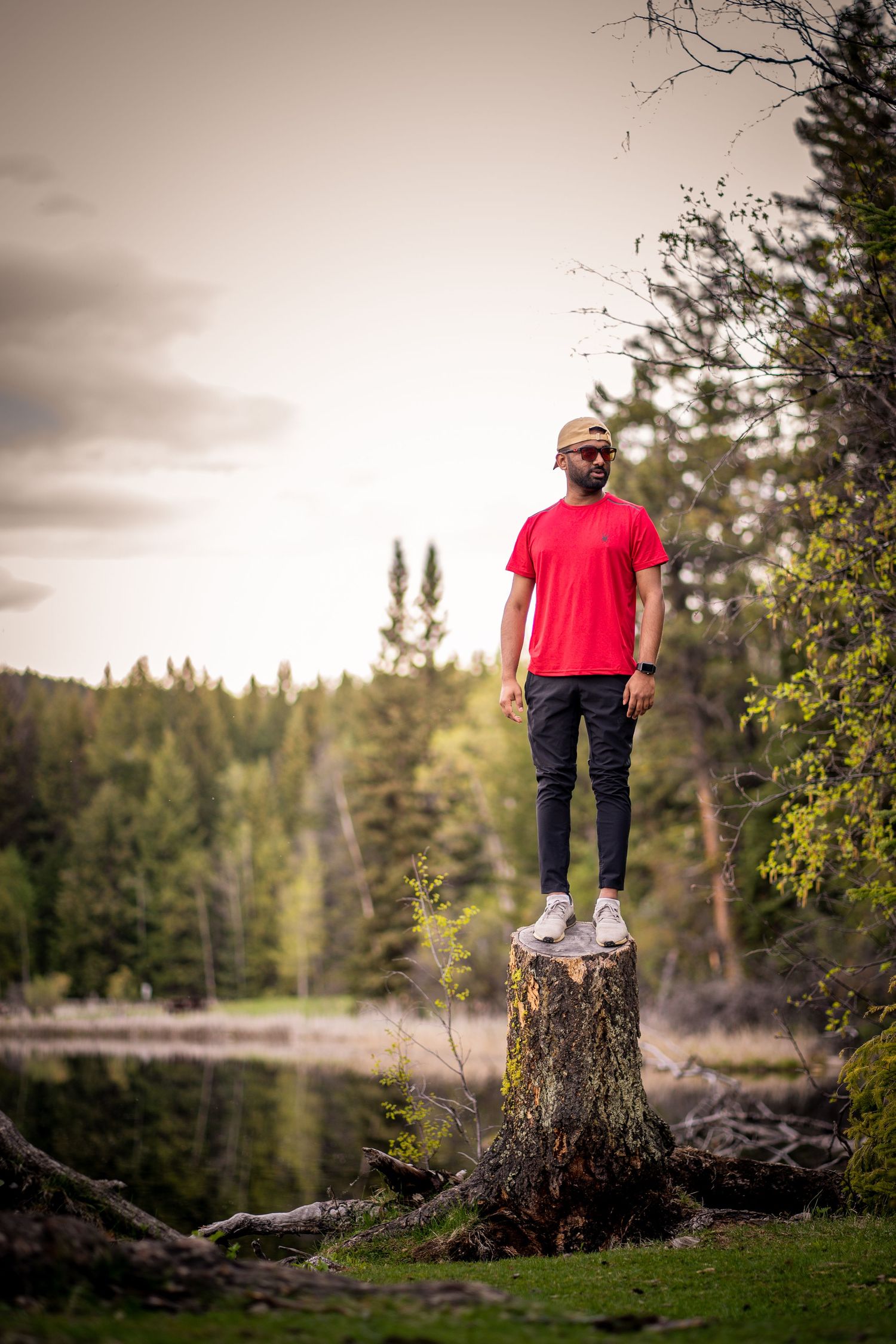 Person in red t-shirt and jeans standing on tree stump with forest landscape in background.