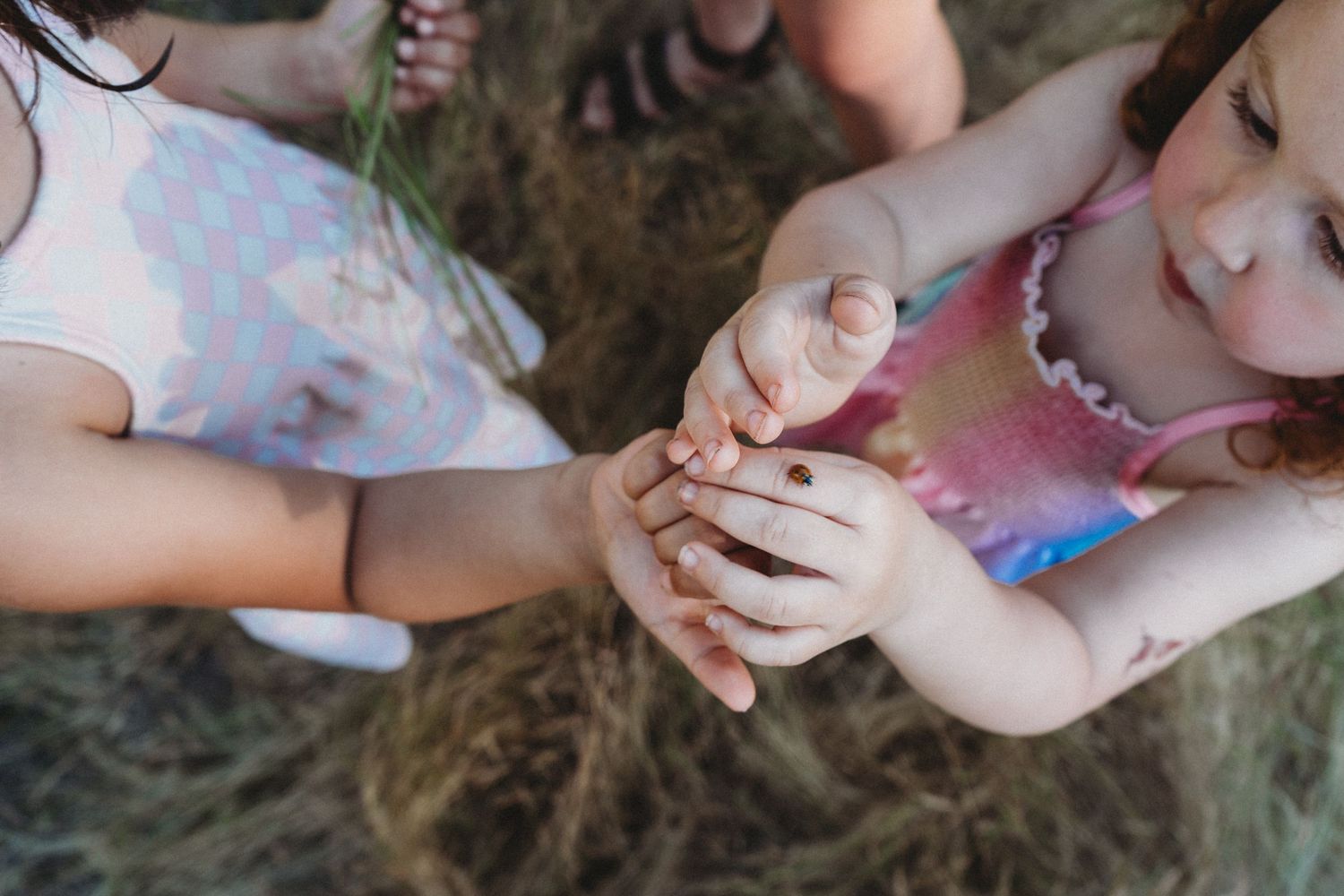 Close-up shot of small hands holding and examining something together outdoors.