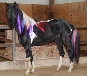 Colored horse hair extensions for all those diva cowgirls out there.