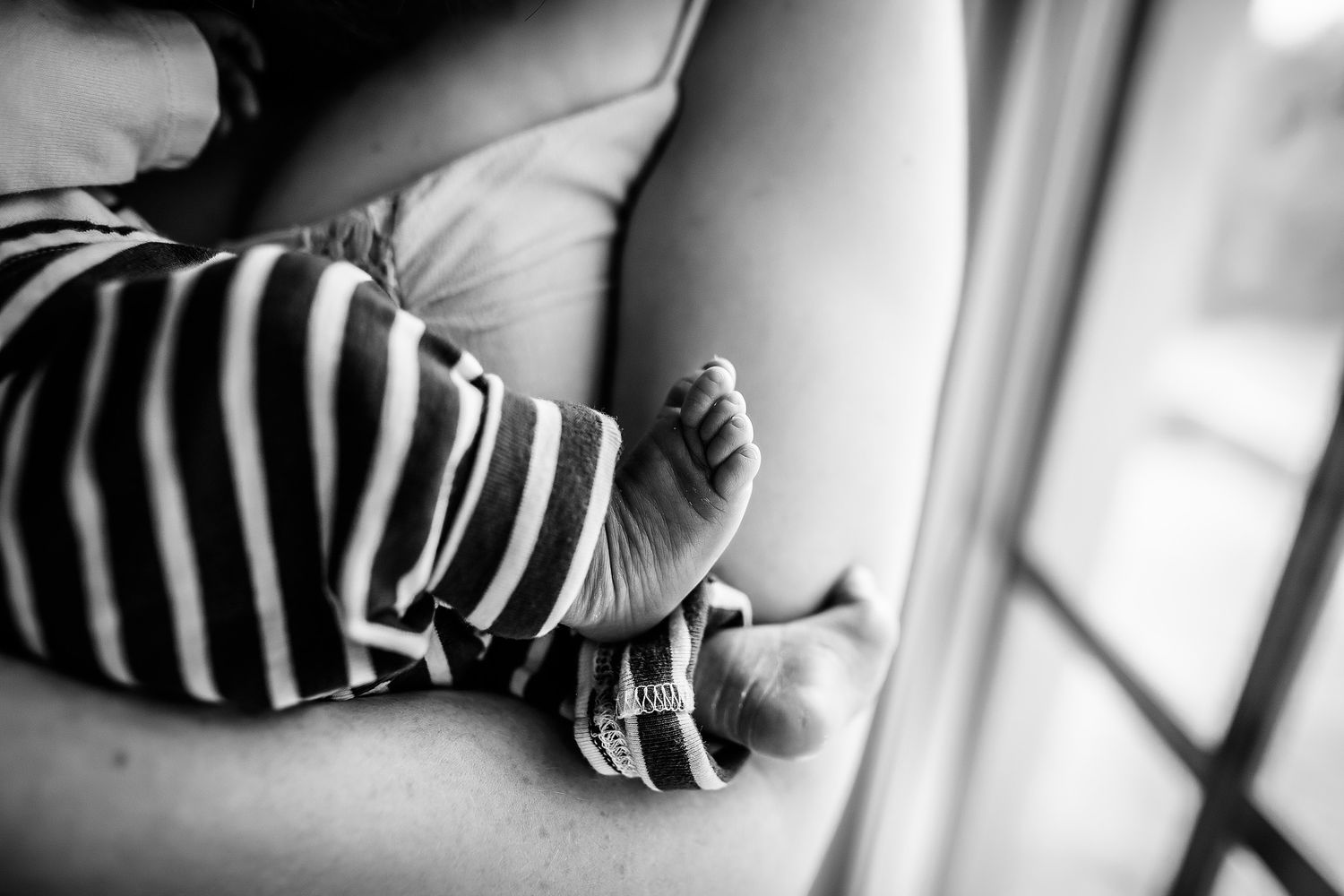 Ann Arbor Newborn Photographer