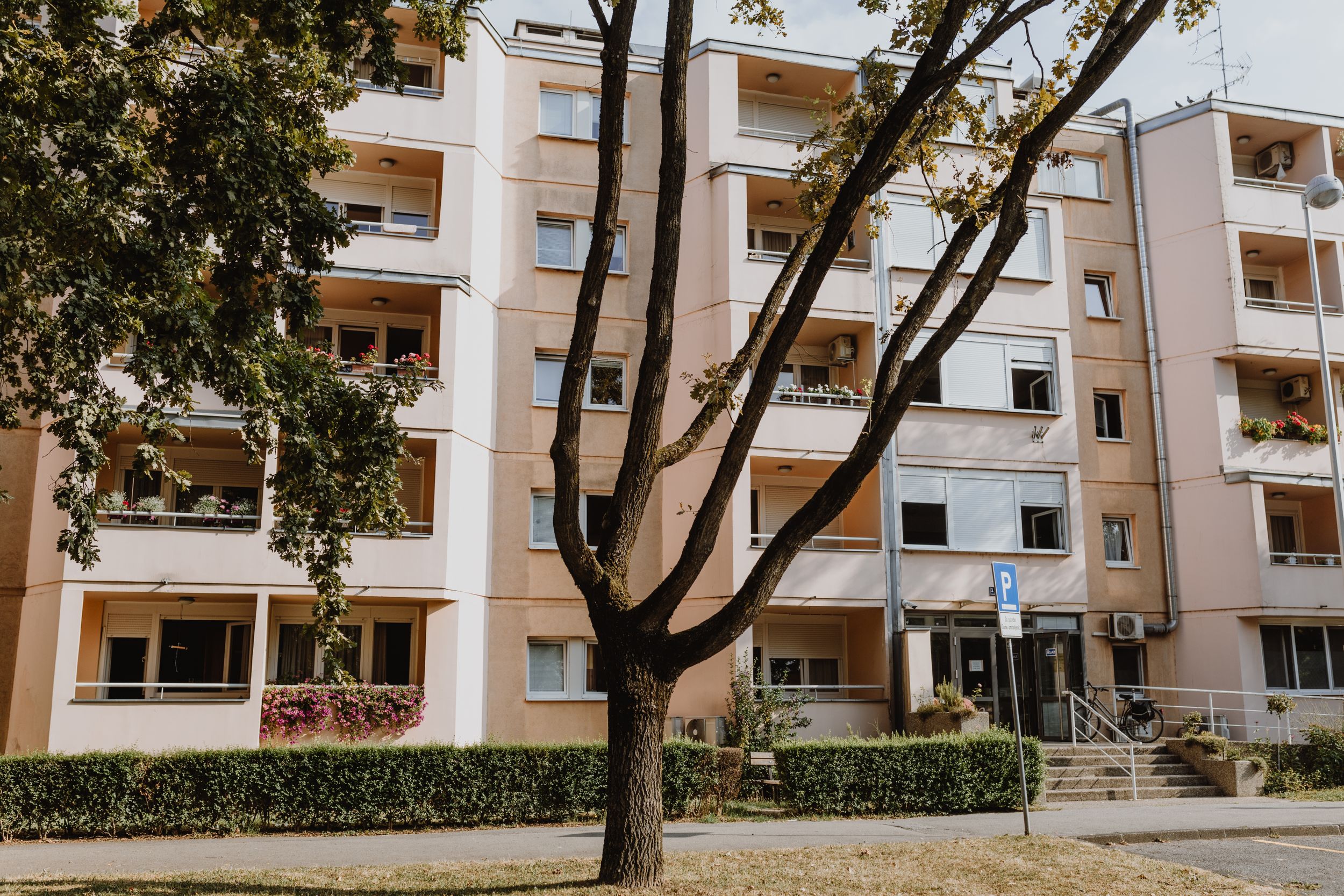 A modern apartment building with white balconies and a large tree in the foreground.