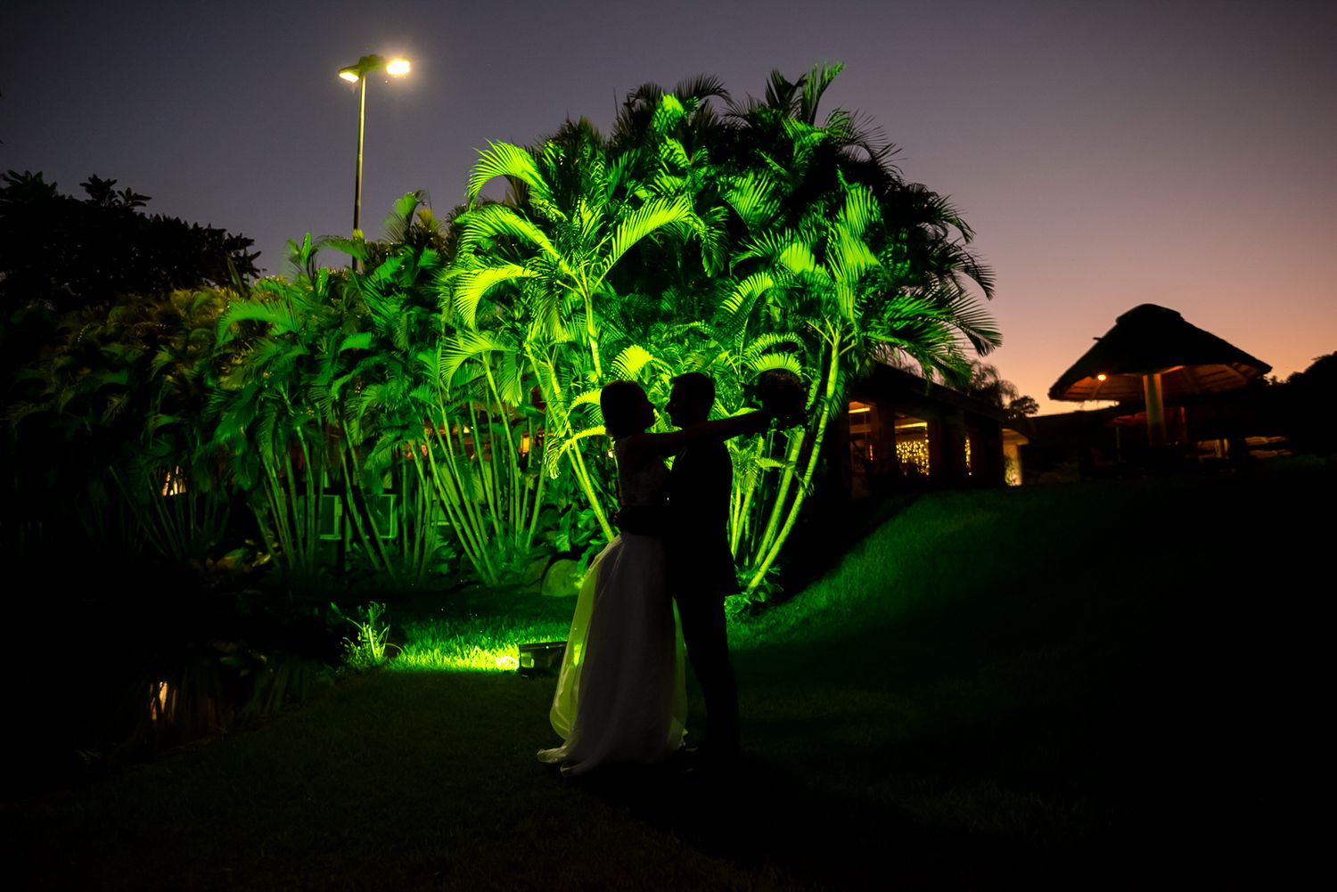A silhouetted scene at night with dramatically lit green palm trees against a dark sky.
