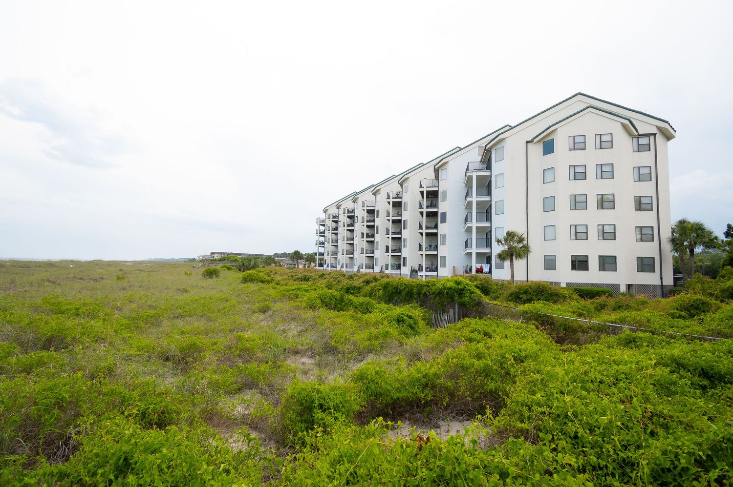 Modern beachfront condominium complex rising above coastal vegetation.
