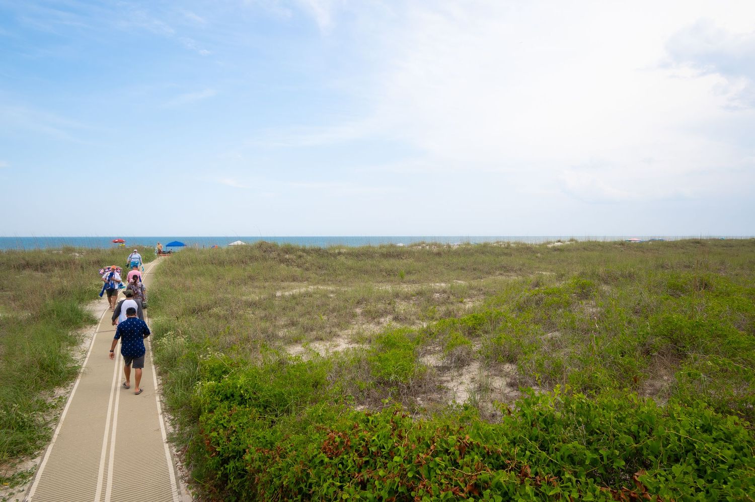 Wooden boardwalk path winding through coastal dunes with ocean views.