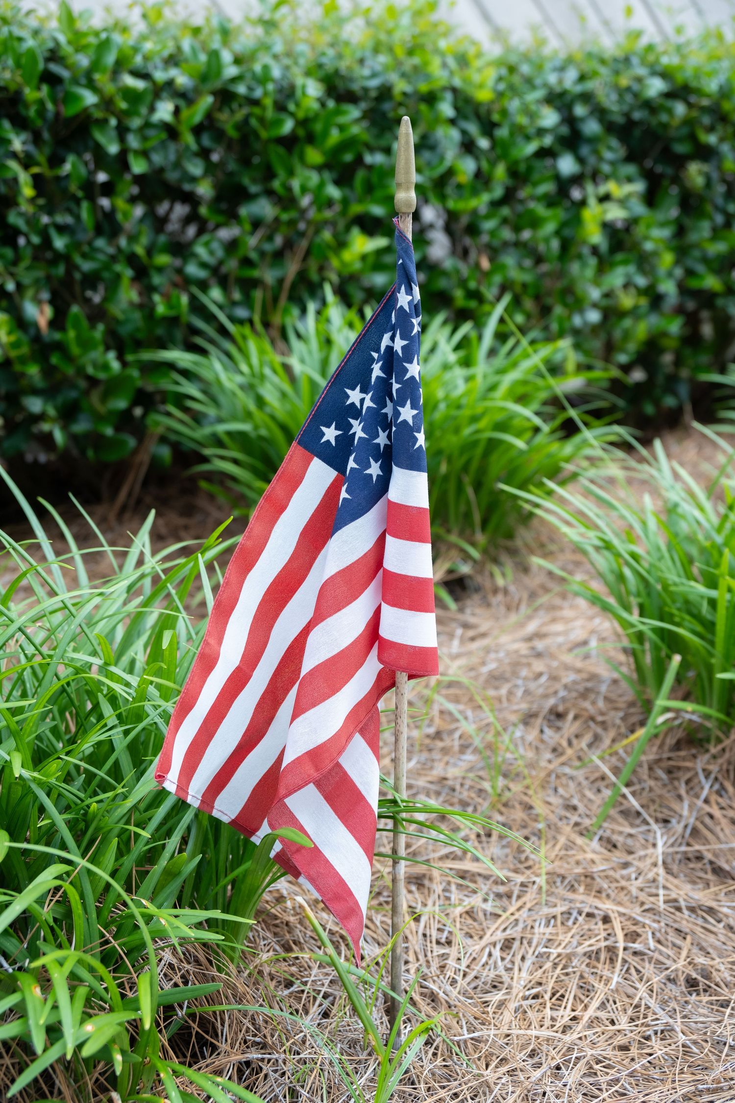 American flag on metal pole against green garden background.