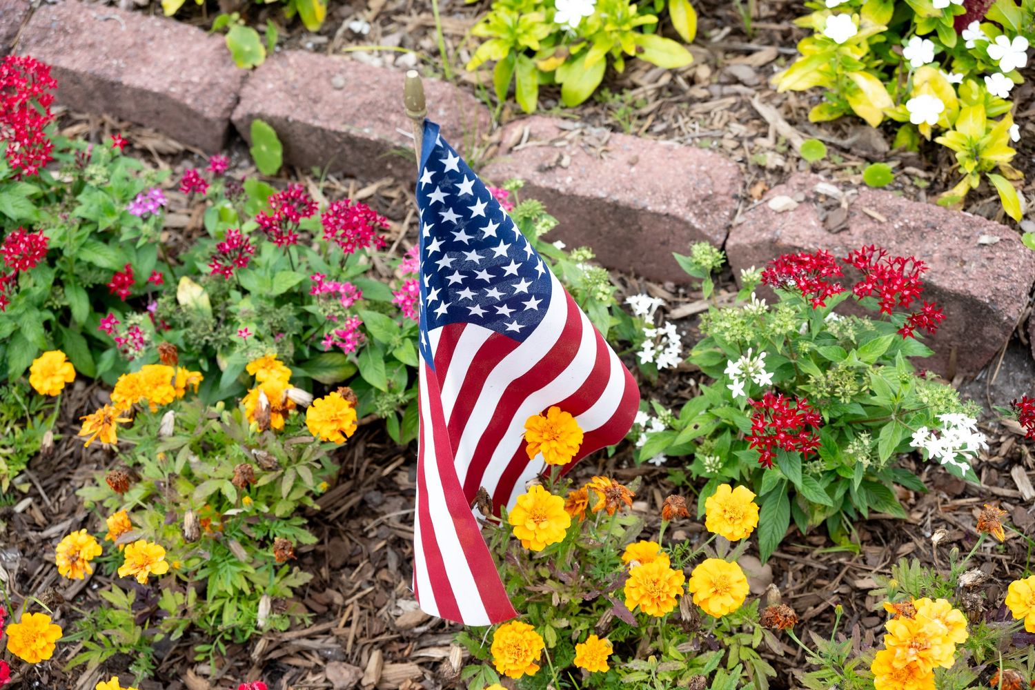 Small American flag planted among red and yellow flowers in garden border.
