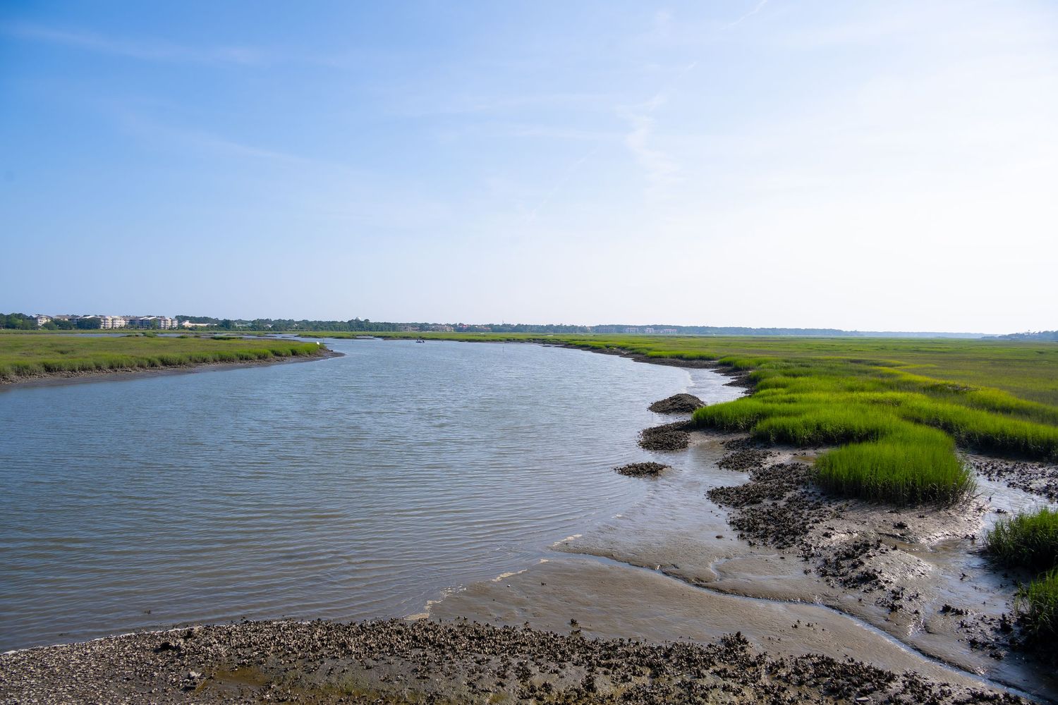 Calm coastal inlet with green marsh grass under bright blue sky.