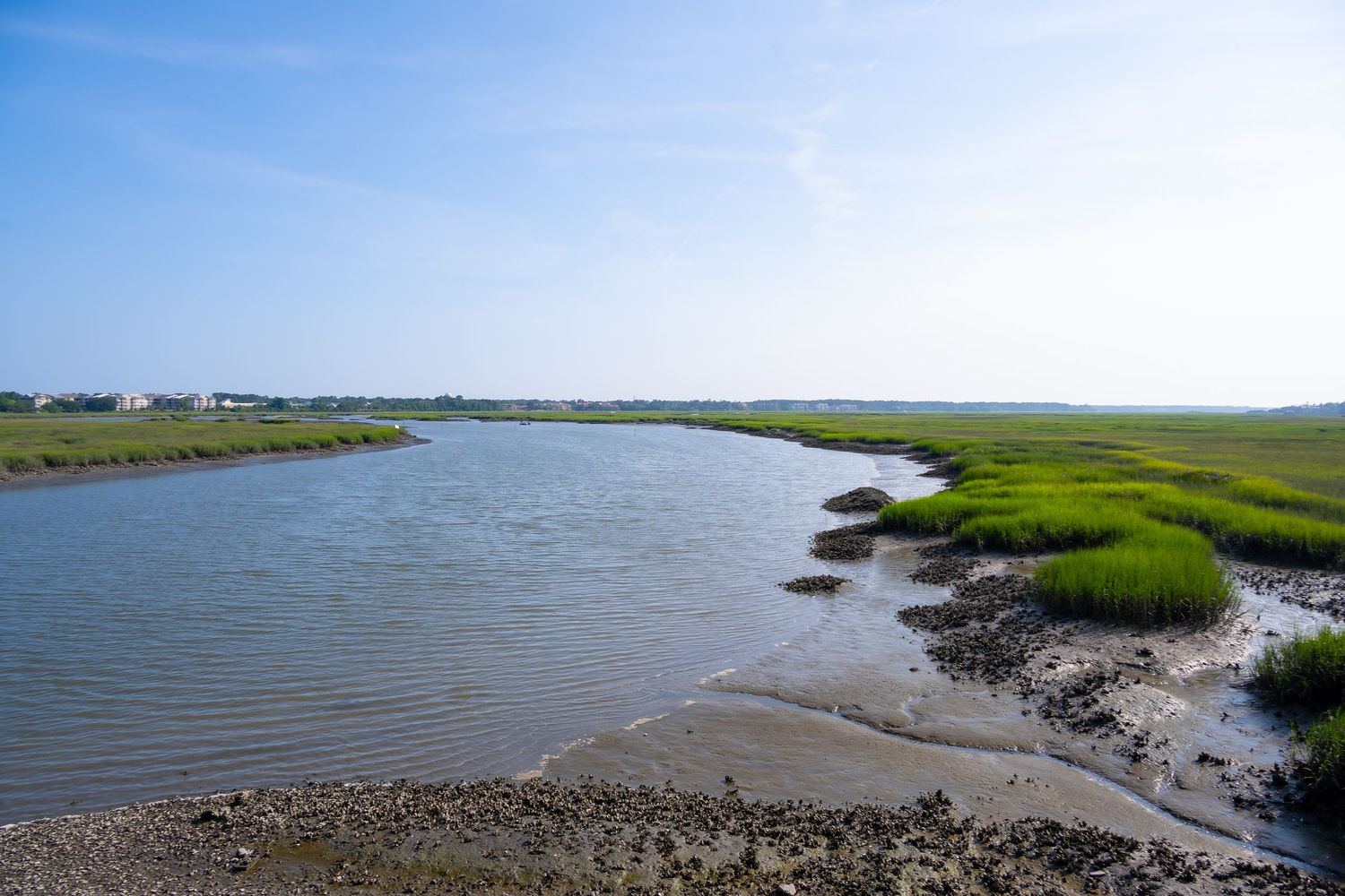 Winding salt marsh with green grass and blue water under clear sky shows coastal wetland ecosystem.