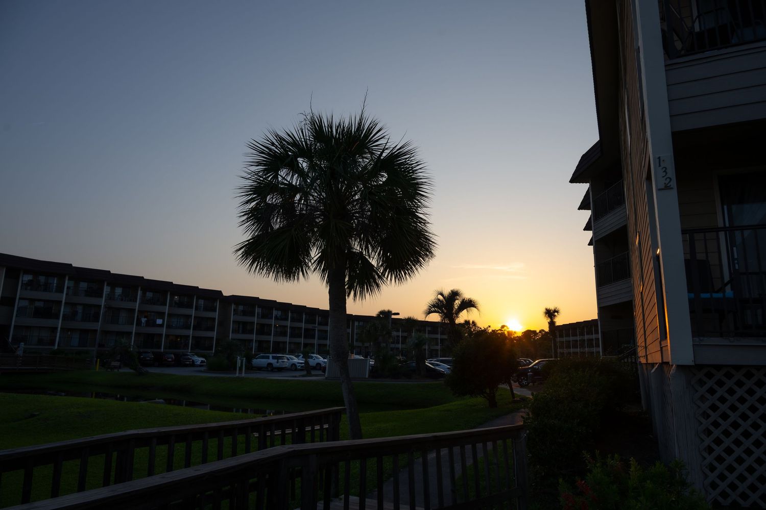 Palm tree silhouetted against golden sunset sky with coastal buildings in background.