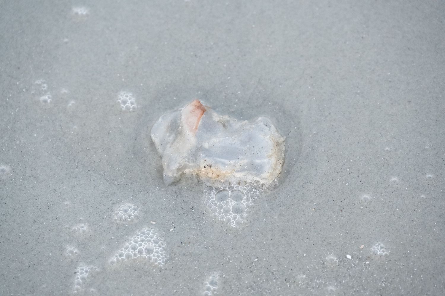 Translucent jellyfish on grey sand with bubbles around it.