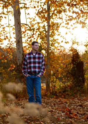Fall scene with golden sunlight filtering through trees and scattered leaves on ground.