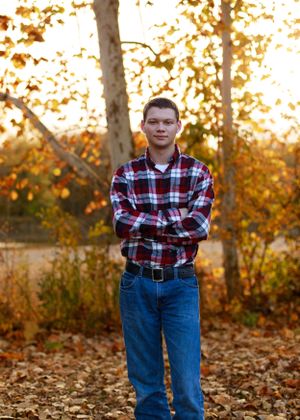 Person in plaid shirt standing among fallen autumn leaves with golden sunset lighting.