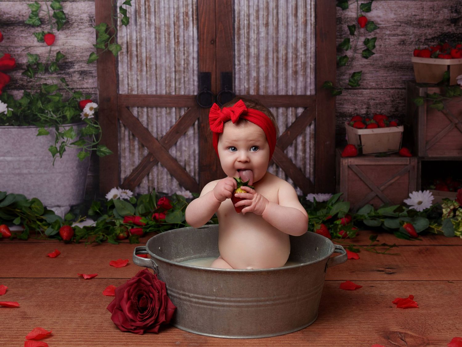 Vintage farm backdrop with child in metal washtub surrounded by red roses.