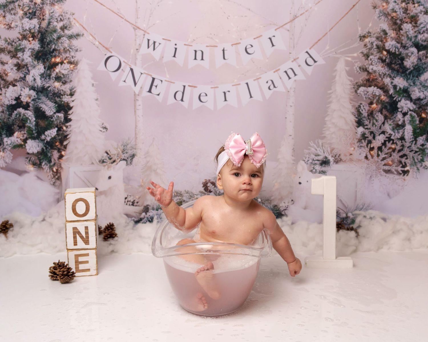 Whimsical winter wonderland photo setup with bath prop and decorative ONE display.