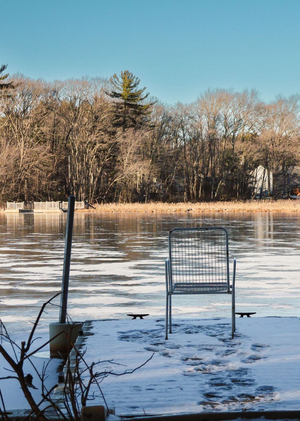A lone metal chair sits on a frozen lake shore with cattails and bare winter trees in the background.