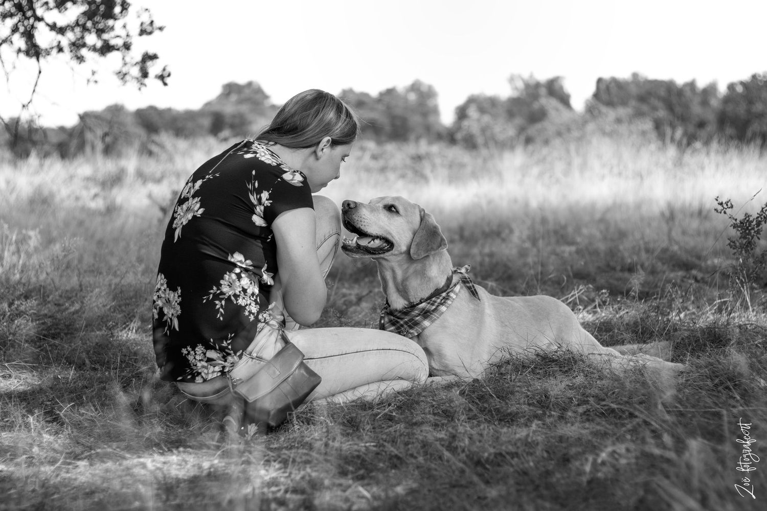Hondenfotografie Zoefotografeert