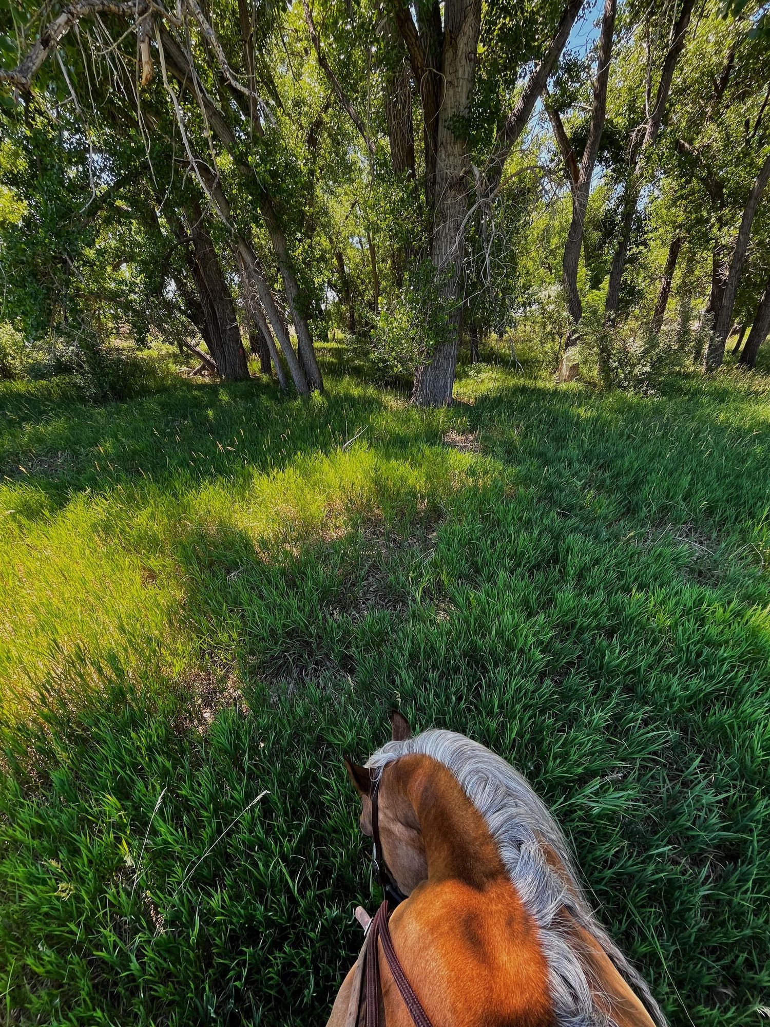 Agriculture photography services.