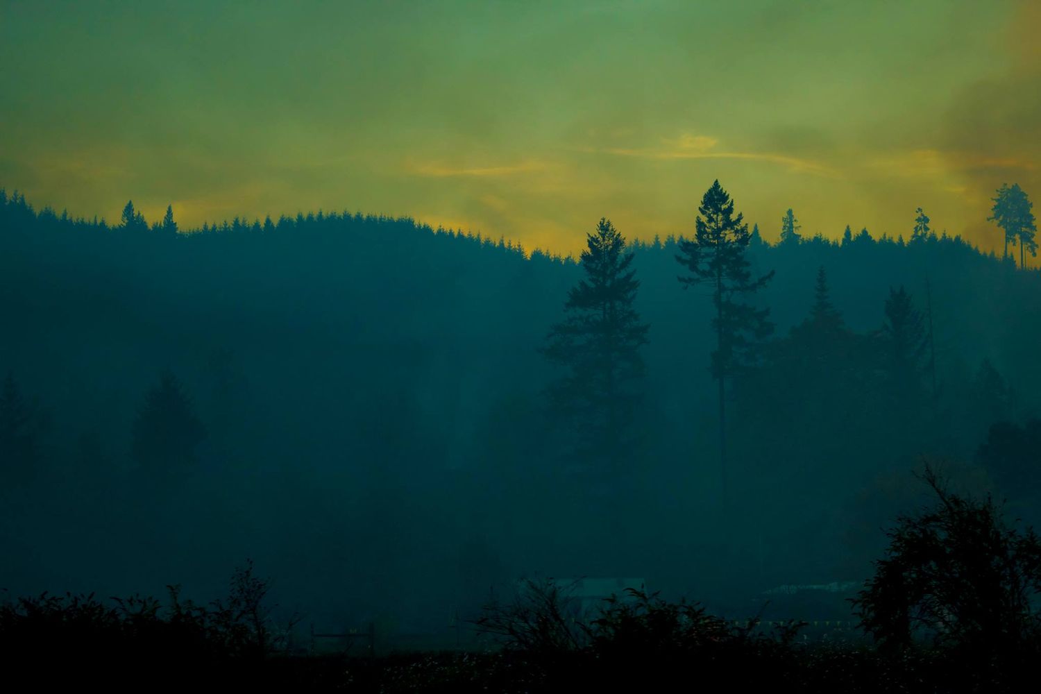 Misty mountain landscape at dusk with evergreen trees silhouetted against a teal sky.