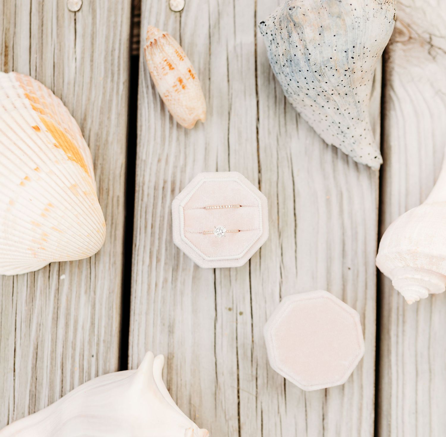 Disposable white paper plates arranged in a line on a weathered wooden deck or table surface.