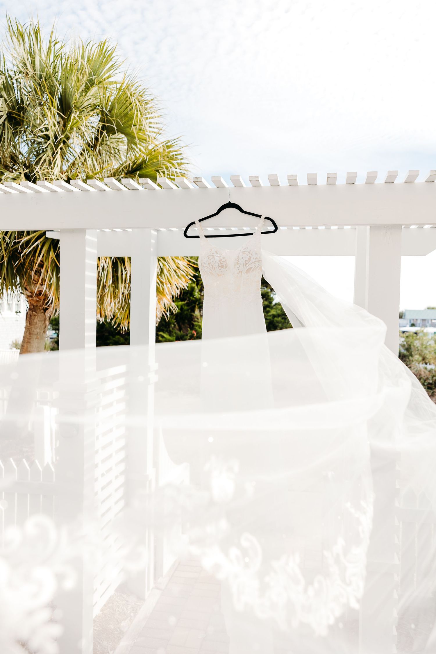 White curtains blow in the breeze under a pergola with palm trees visible in the background.