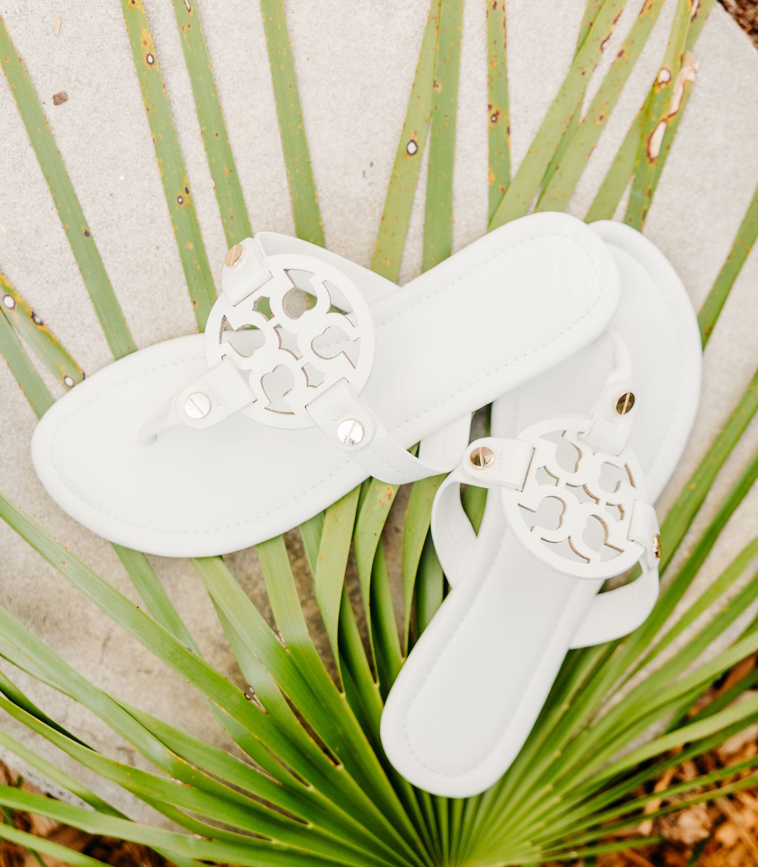 Close-up view of white orchid blooms against green palm fronds in a tropical garden setting.