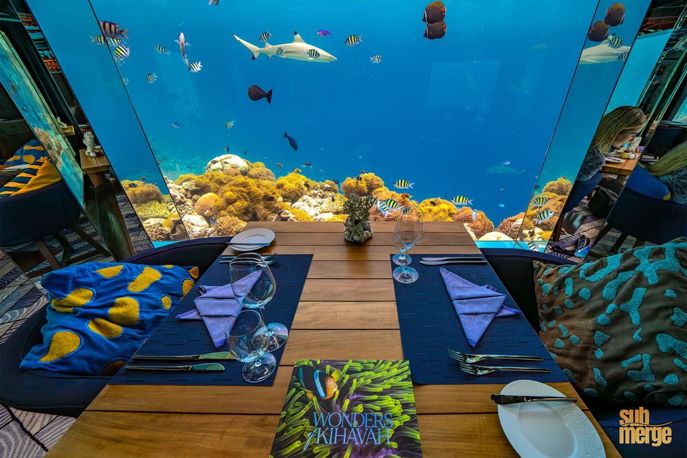 Underwater hotel room with floor-to-ceiling aquarium views showing tropical fish and sharks swimming above beds.