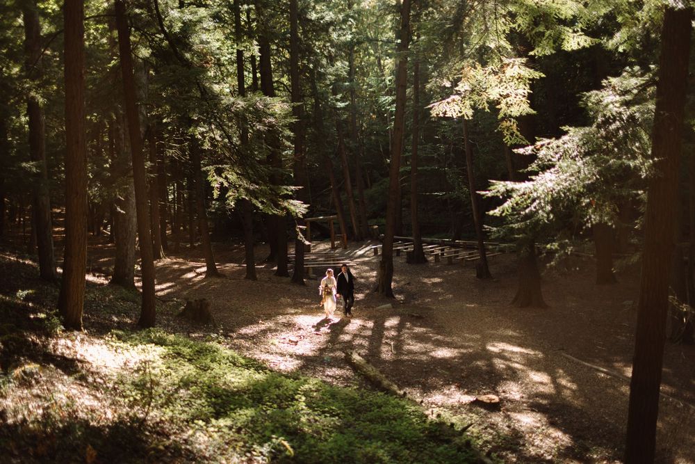 Sunlight filters through tall evergreen trees creating dappled shadows on a winding forest trail.