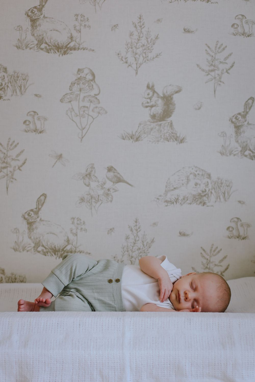 newborn session