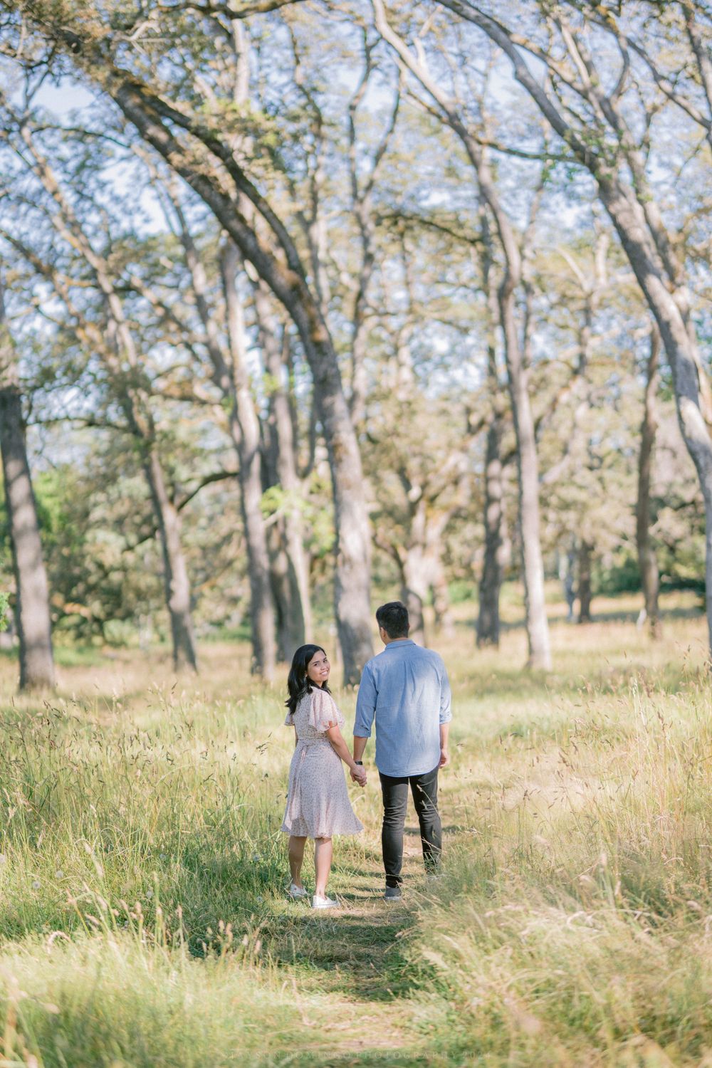 A couple walks hand in hand through a sunlit wooded area with tall trees.