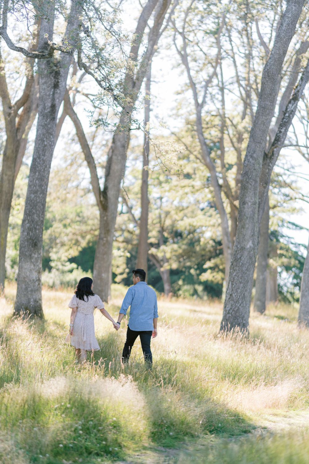 A couple walking through a grove of tall trees in golden afternoon light.
