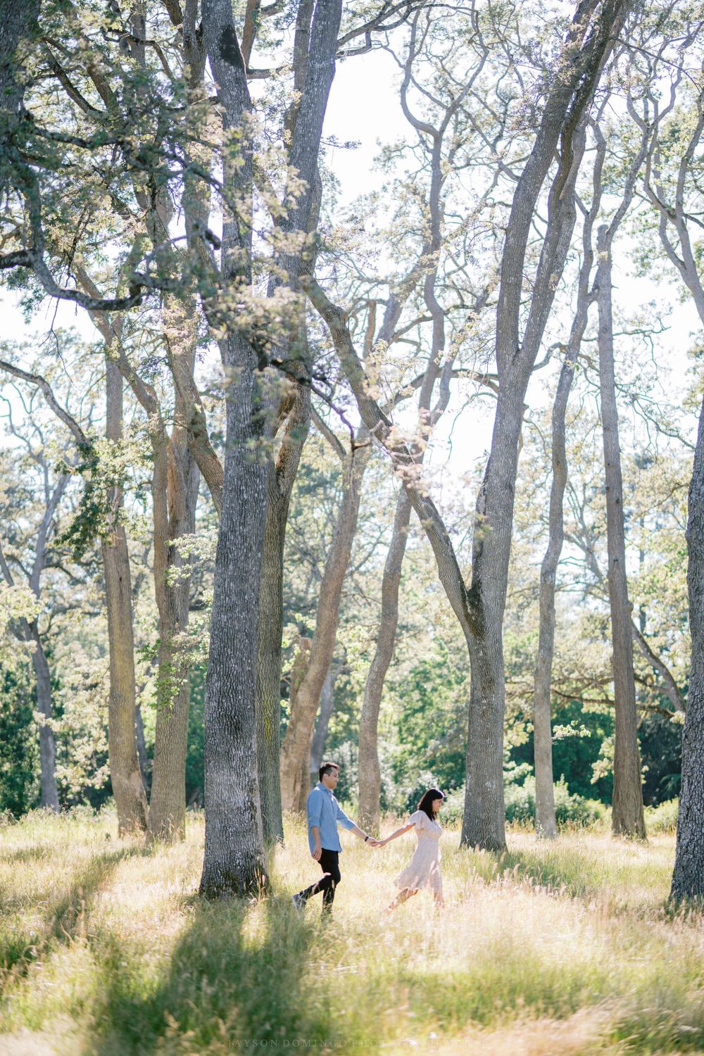 A couple dances joyfully among tall trees in a sunlit forest meadow filled with golden grass.