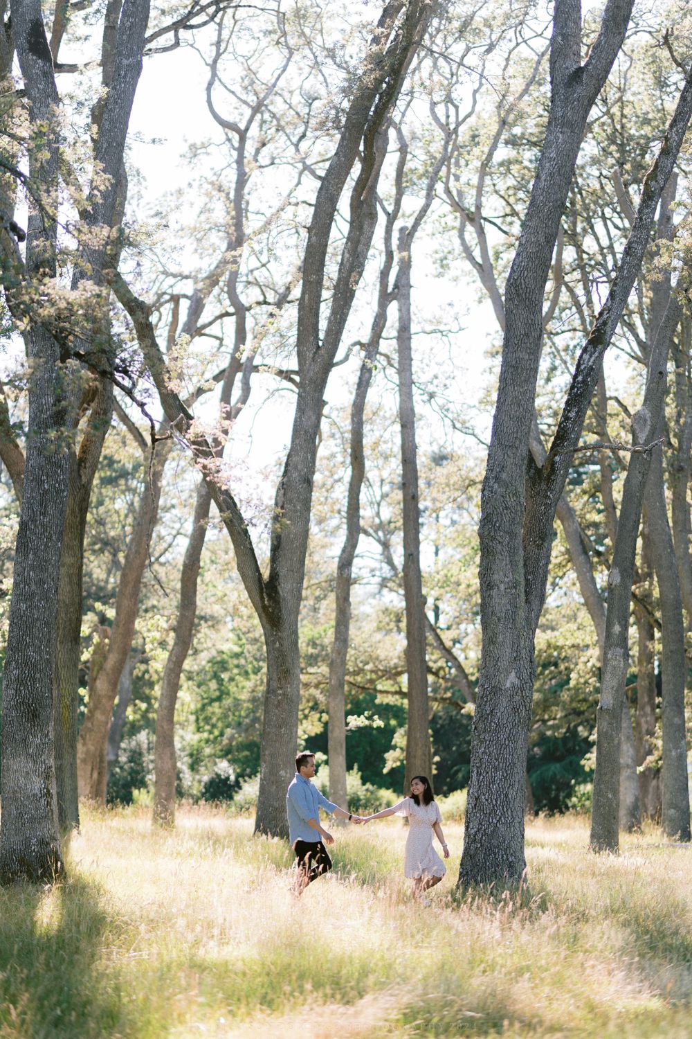 Two people dance together in a dreamy woodland setting with tall trees and sunlit grass.