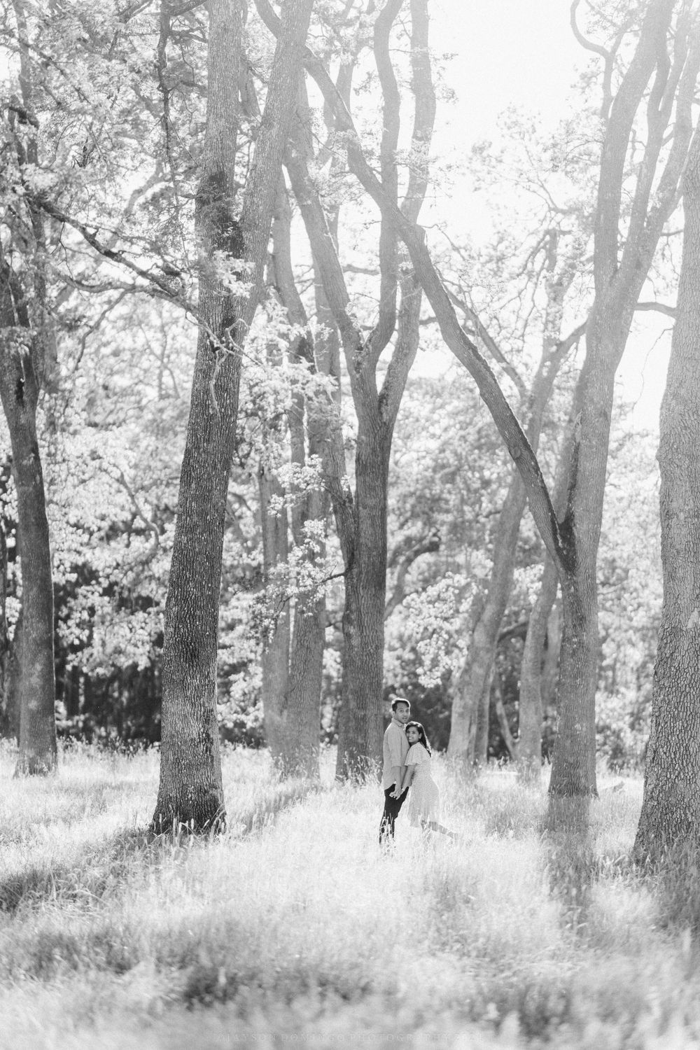 Black and white photo of figures dancing between majestic trees in a misty forest.