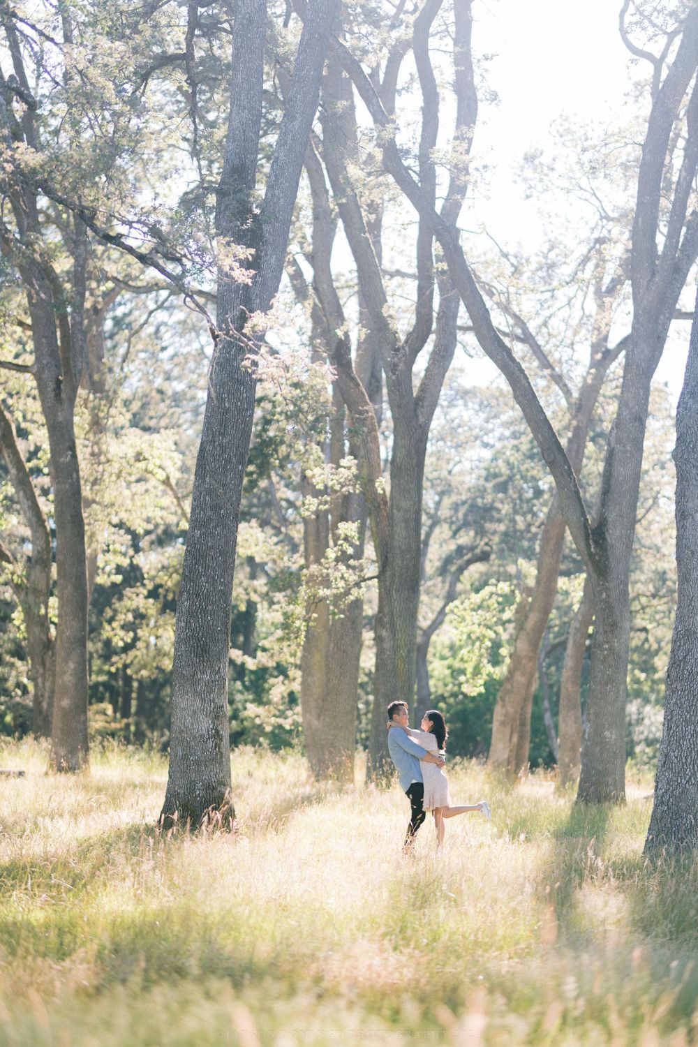 Sunlight filters through trees as two people share a romantic moment in a grassy woodland.