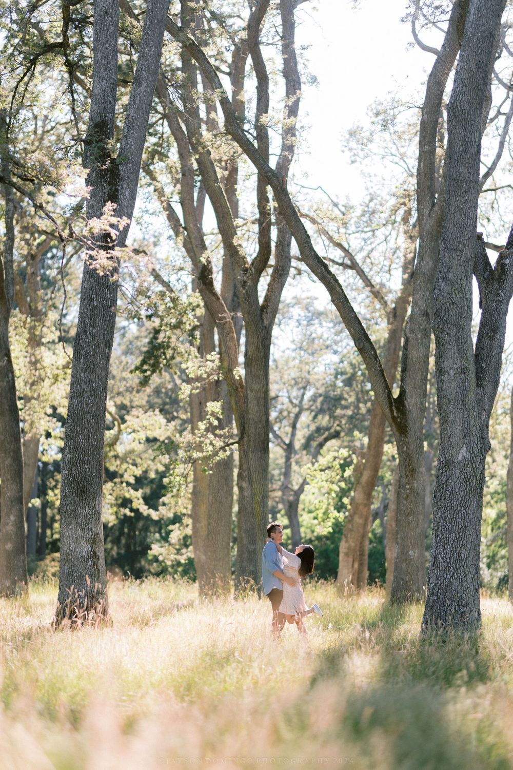 A couple embraces in a serene forest clearing surrounded by towering trees and tall grass.