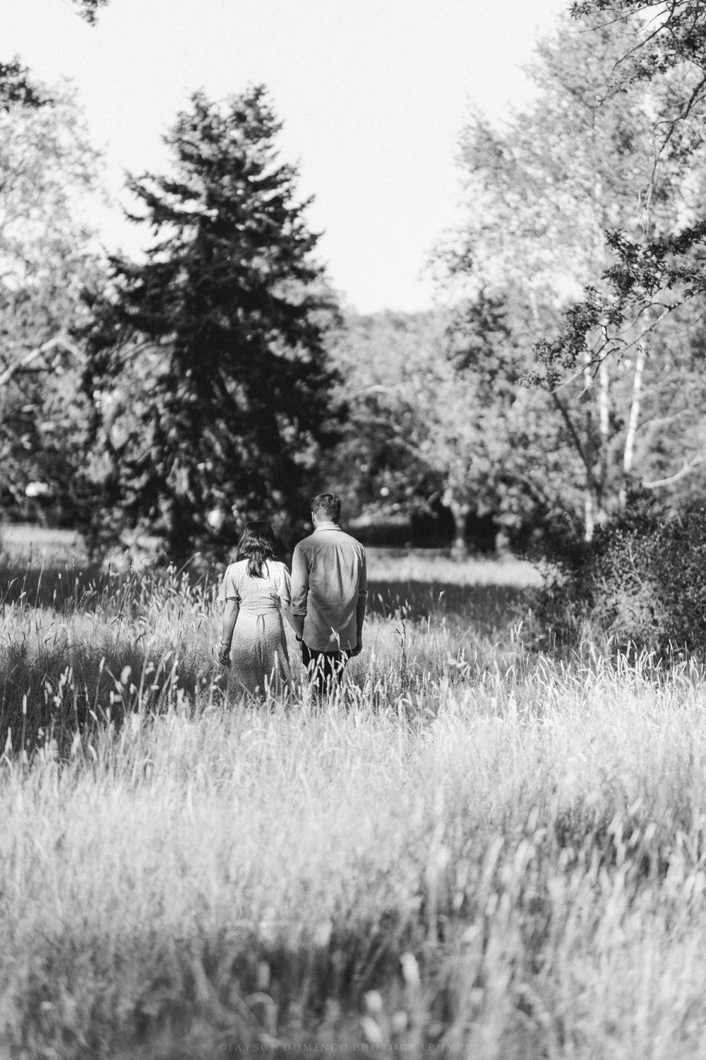 Black and white portrait of two people walking through a meadow with evergreen trees in background.