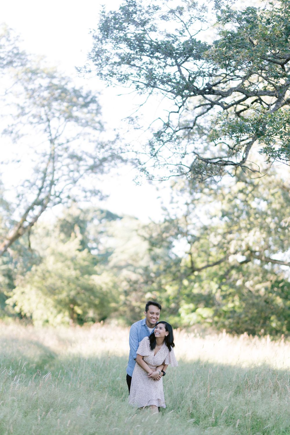 Couple embracing in a sunny meadow surrounded by oak trees.