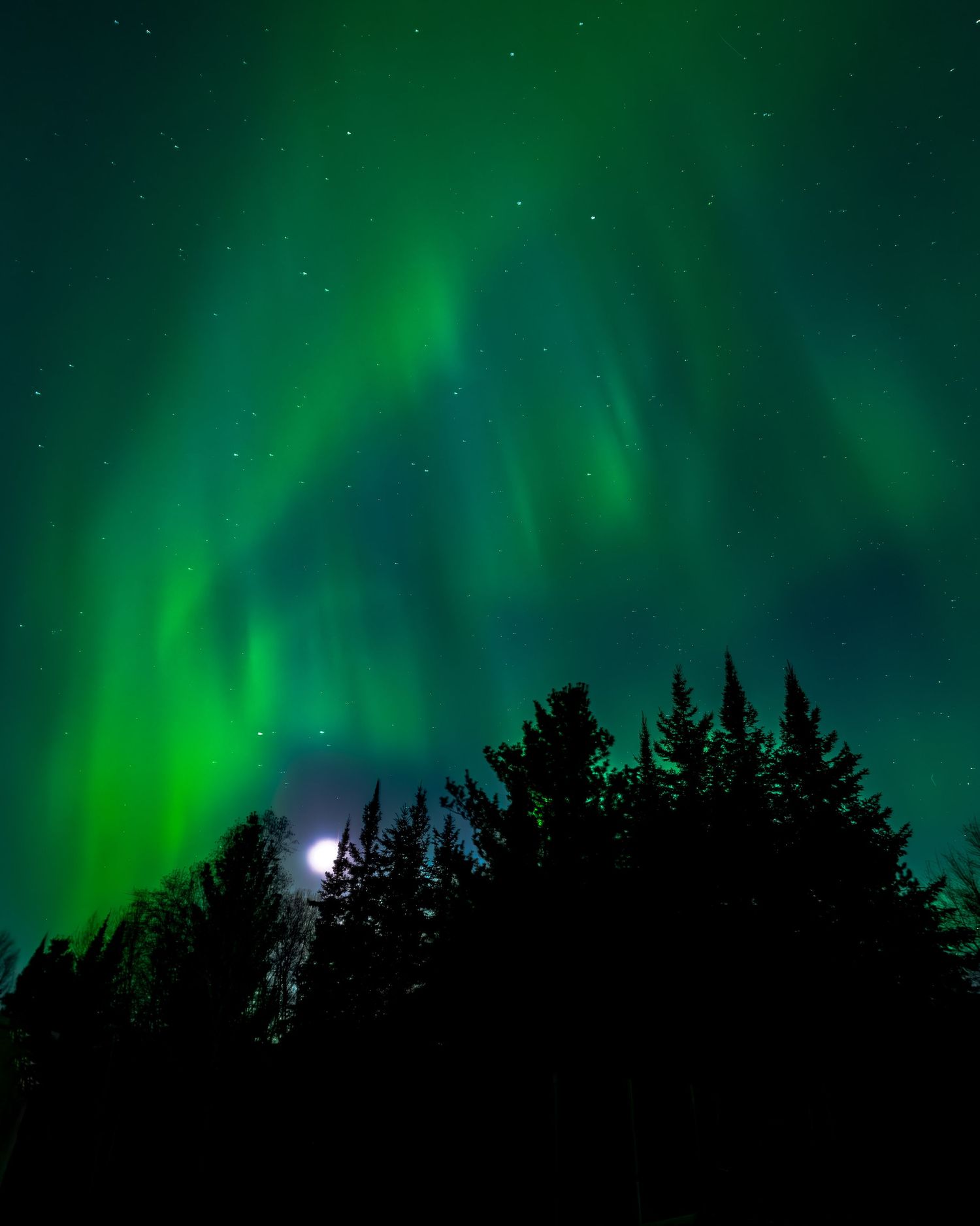 Northern Lights