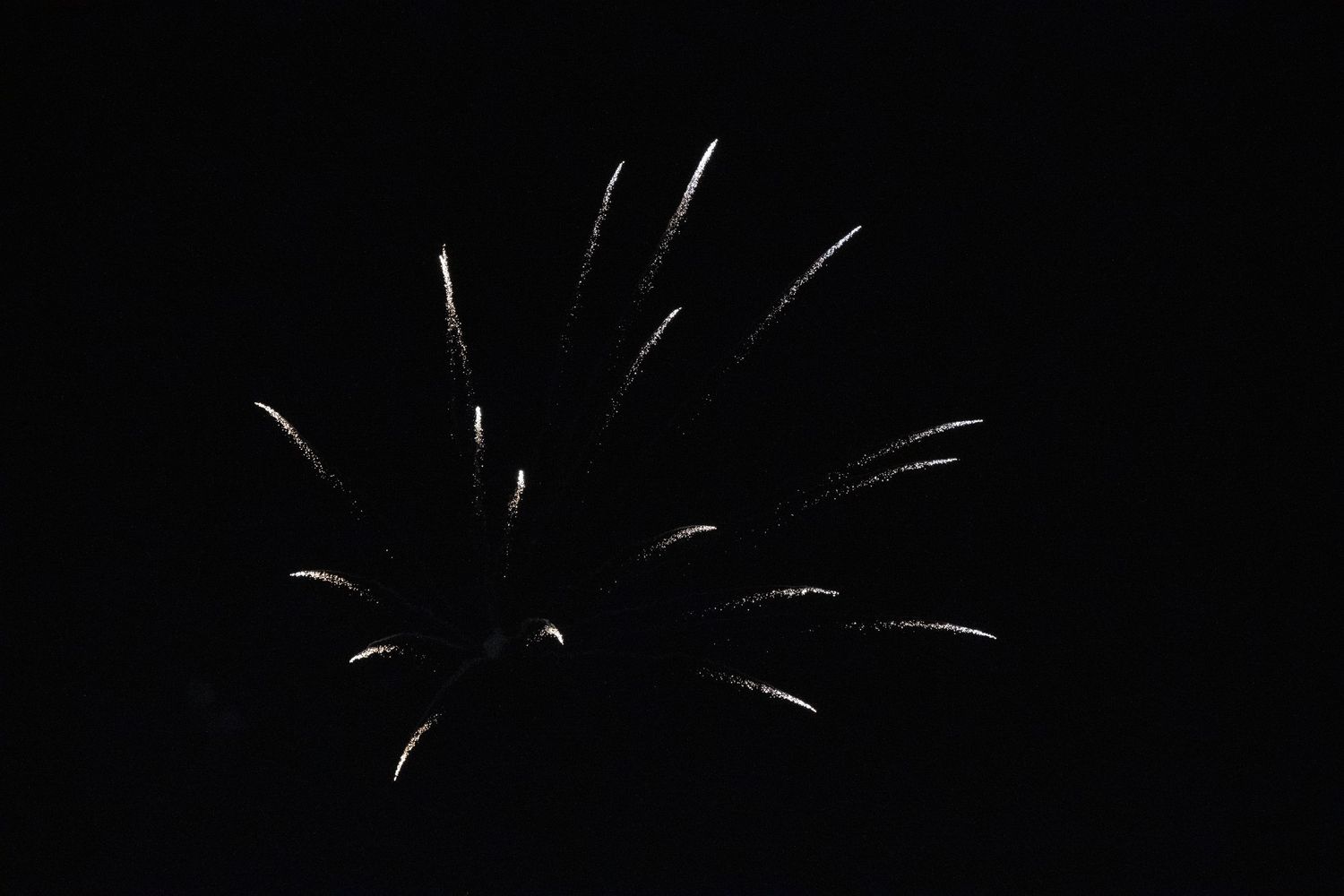 Single white firework burst against dark night sky.