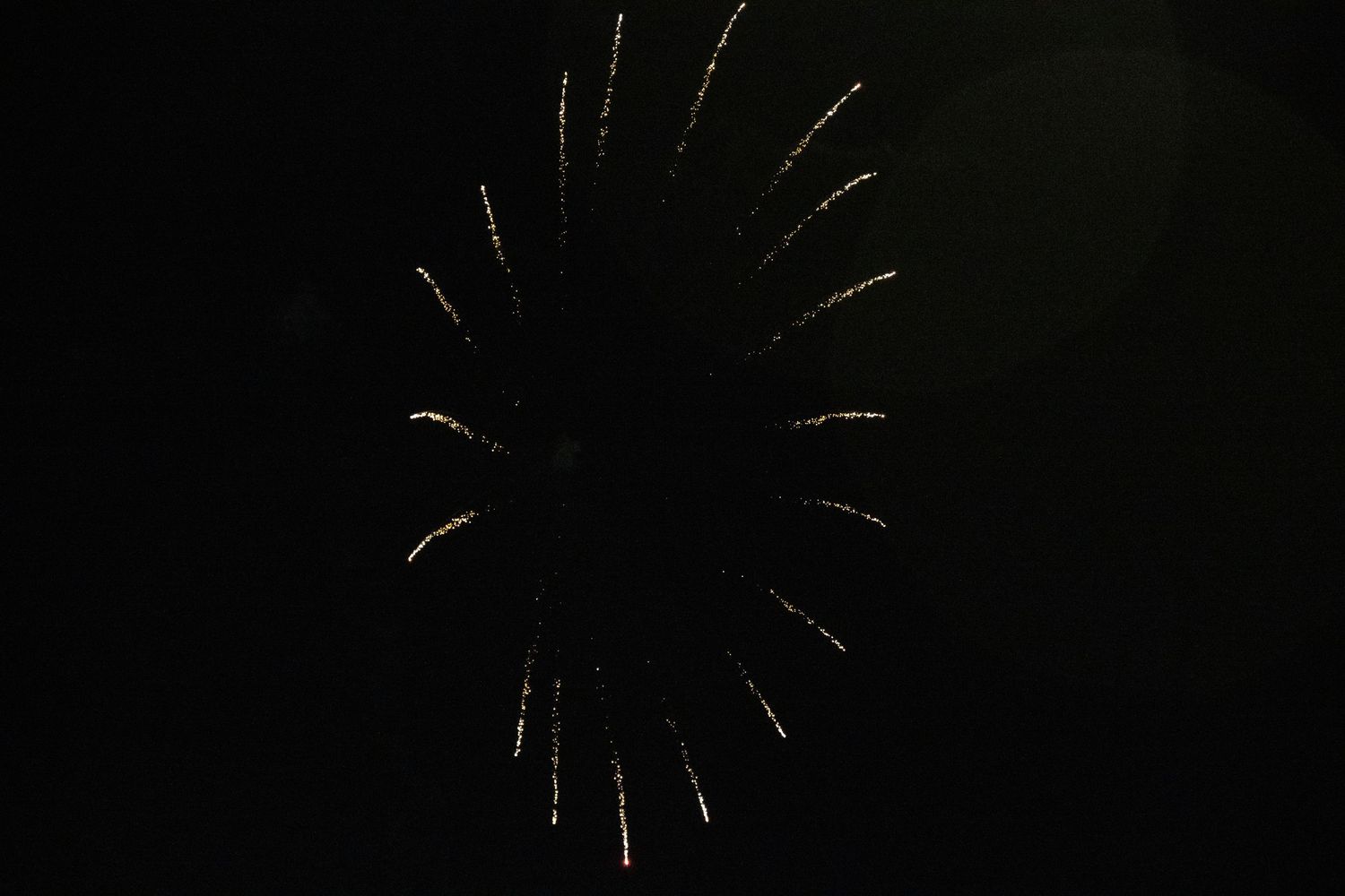 Golden sparkles from firework explosion spread across night sky.