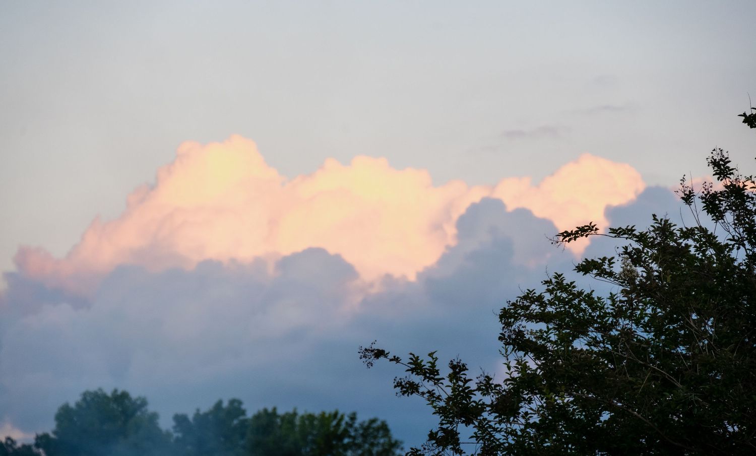 Orange and pink sunset clouds glow above dark tree silhouettes.