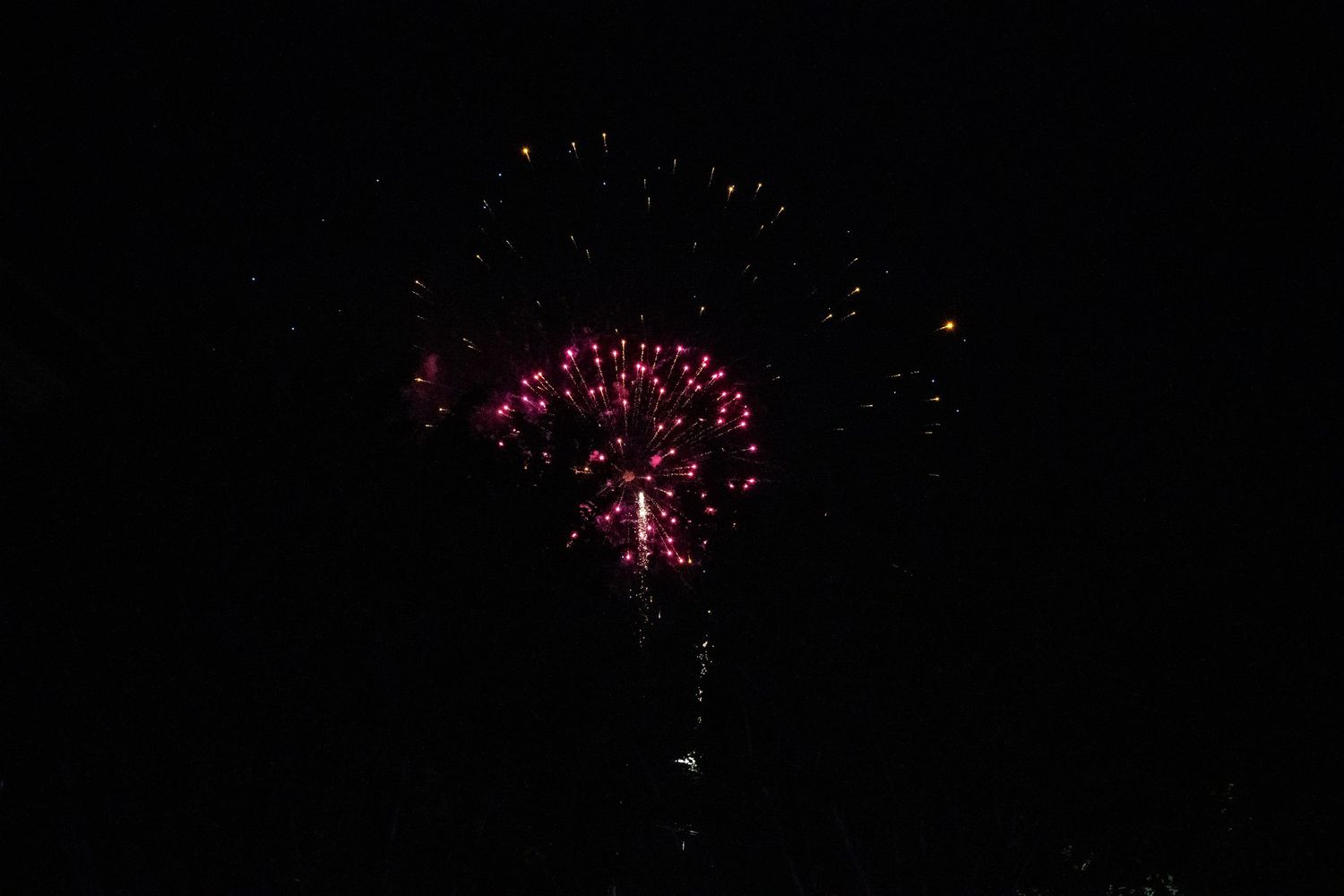 Pink fireworks burst against a dark night sky during a celebration.