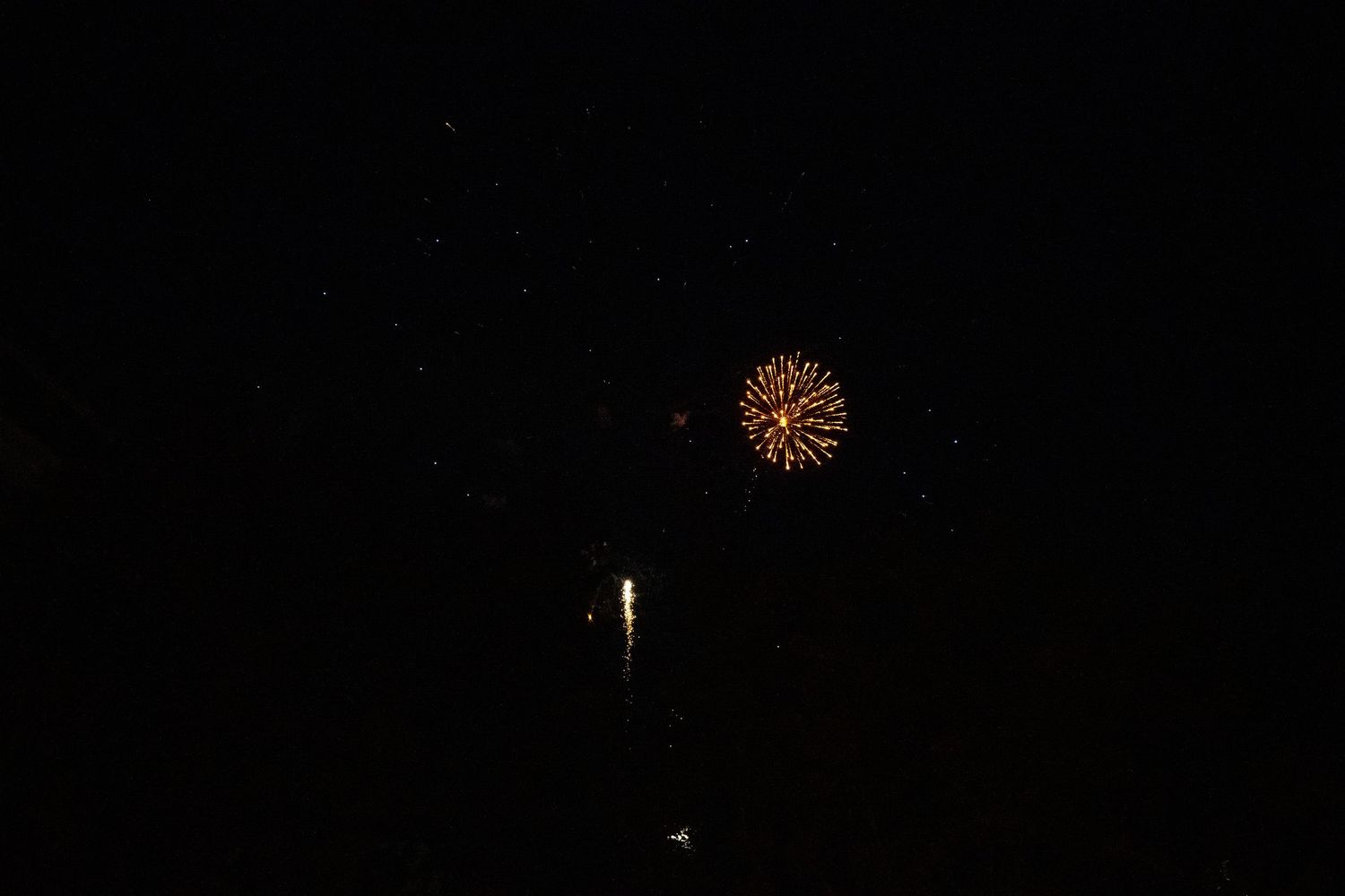 A golden firework explosion illuminates the dark night sky.