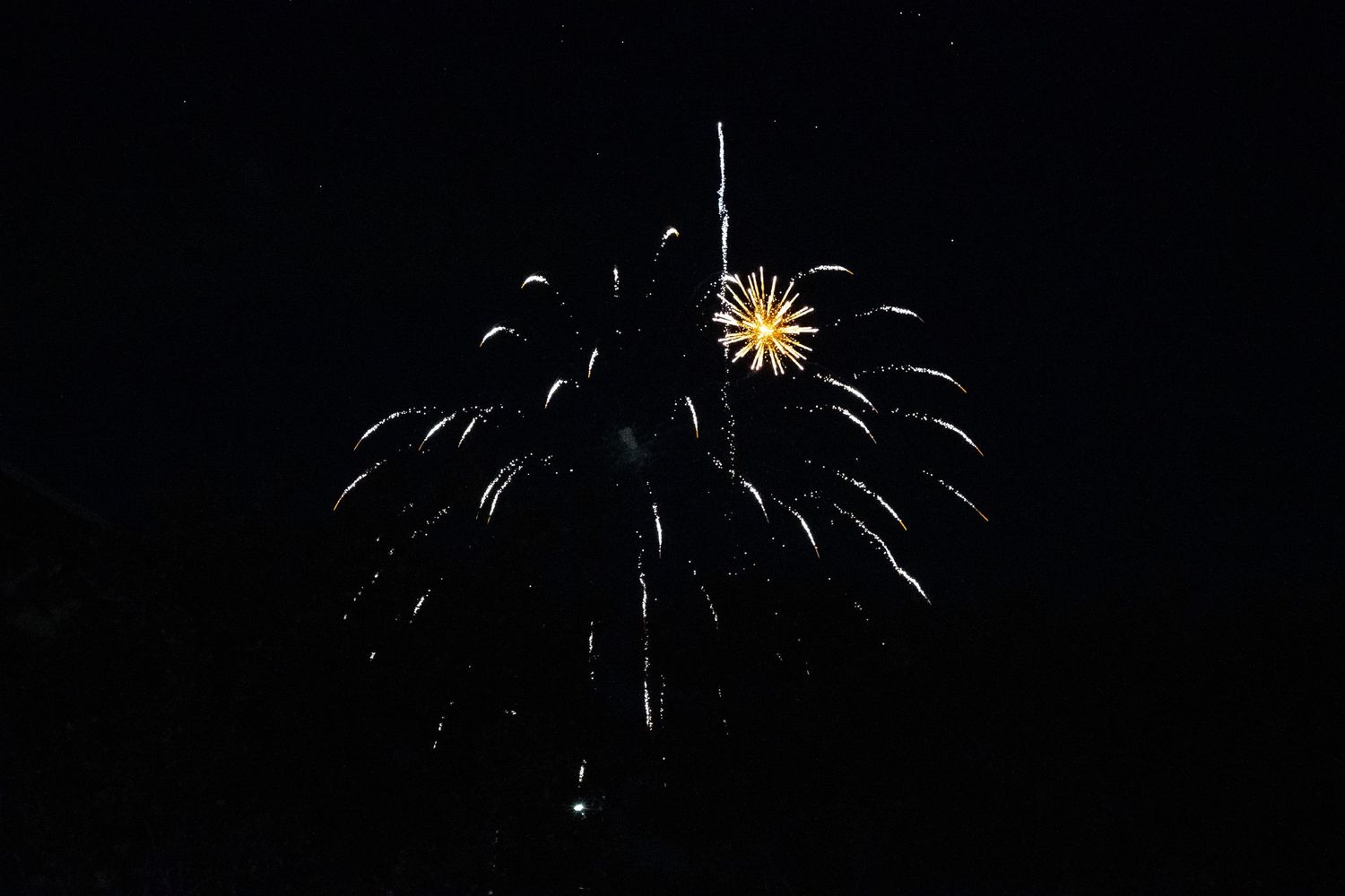 White and gold fireworks burst into a palm tree pattern against the dark sky.