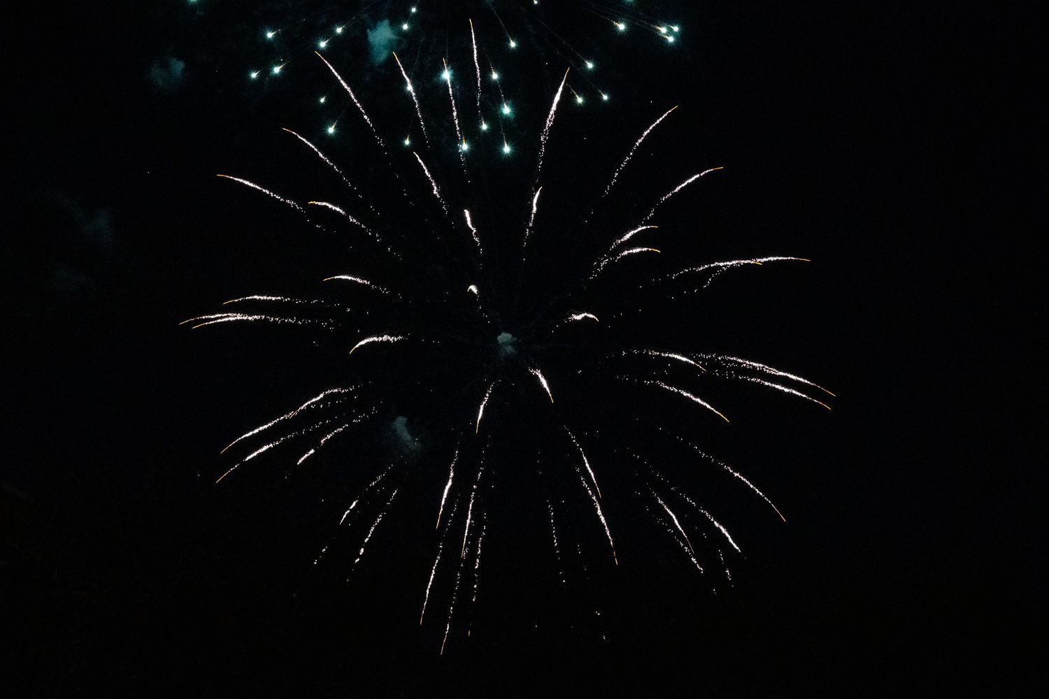 Silvery-white fireworks create an elegant starburst pattern in the night sky.