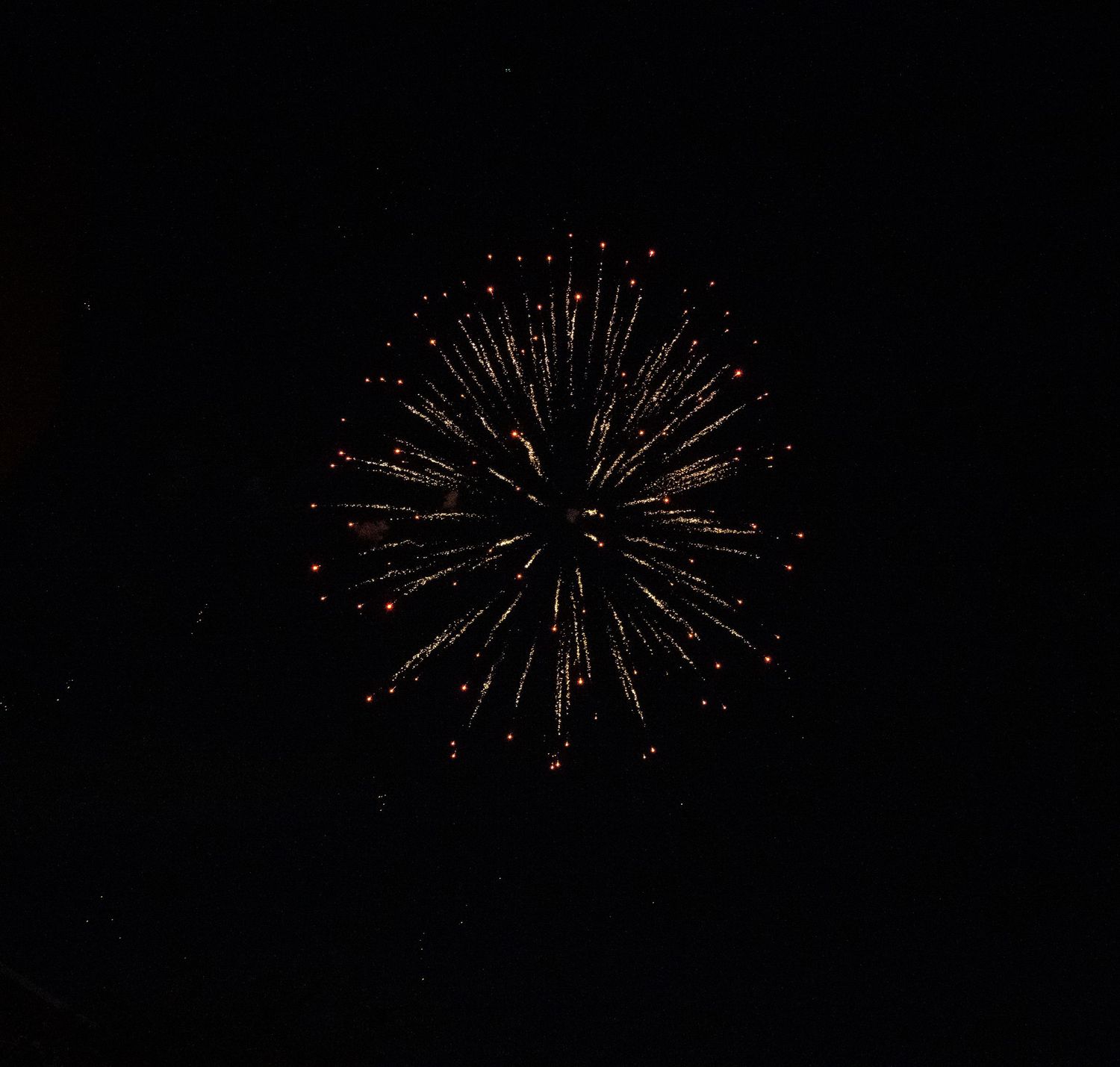 Golden sparks radiate outward in a spherical firework display against black background.