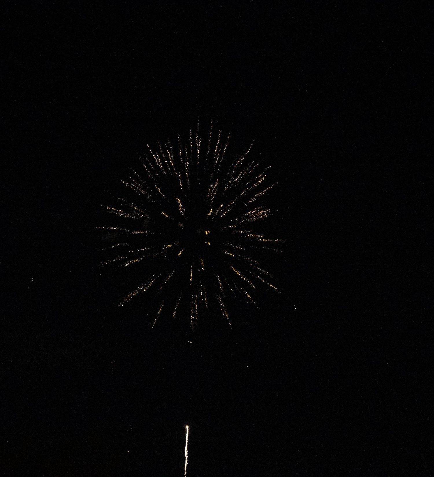 A golden firework explodes in a symmetrical starburst pattern above a dark horizon.