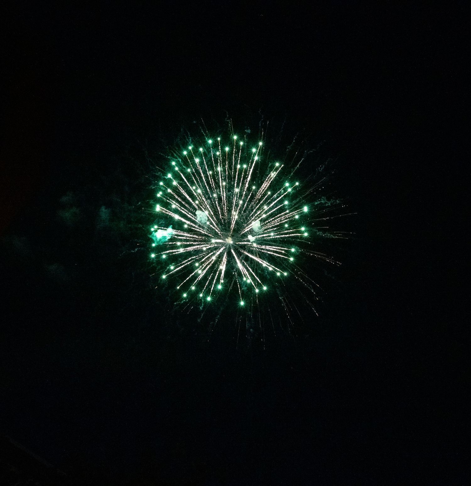 Brilliant green firework creates a sparkling spherical burst in the night sky.